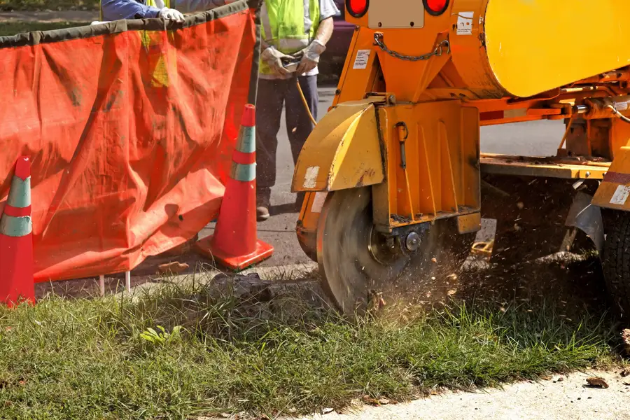 Quality Stump Grinding Hampton VA