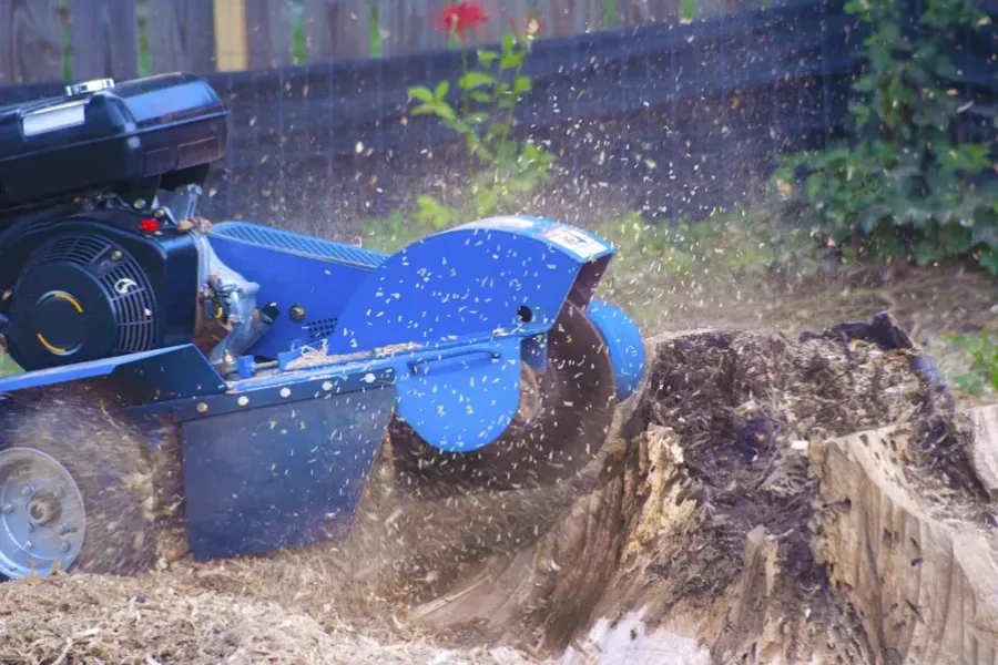 Reputable Stump Grinding Hampton VA