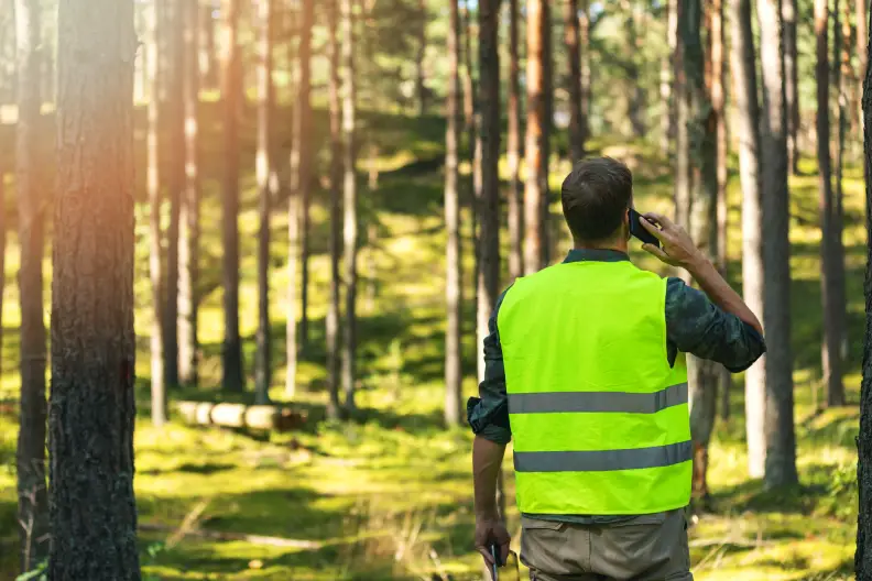 Tree Expert in Hampton, VA